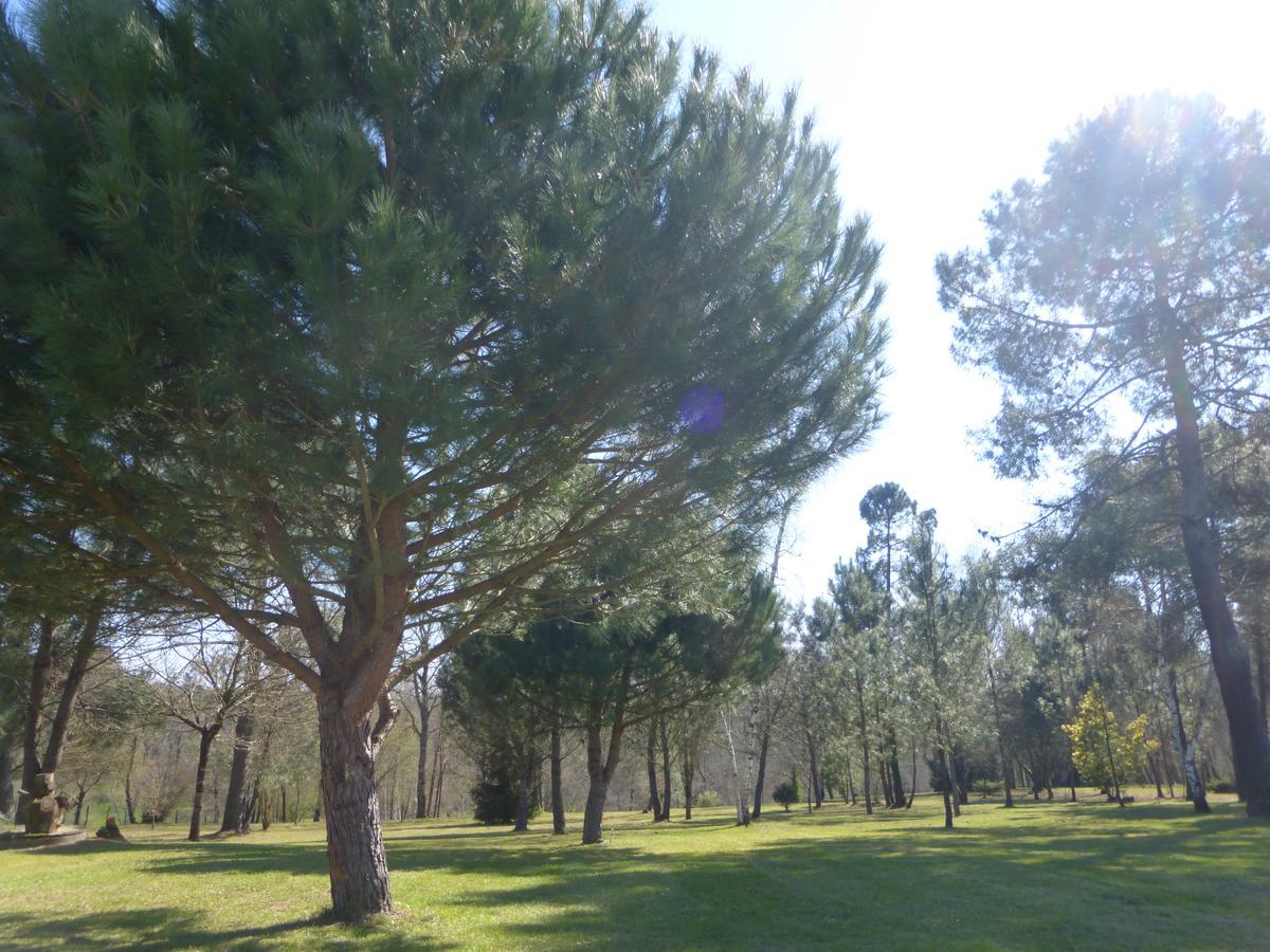 Gite Les Pins Perdus Saint-Ciers-d'Abzac Ngoại thất bức ảnh